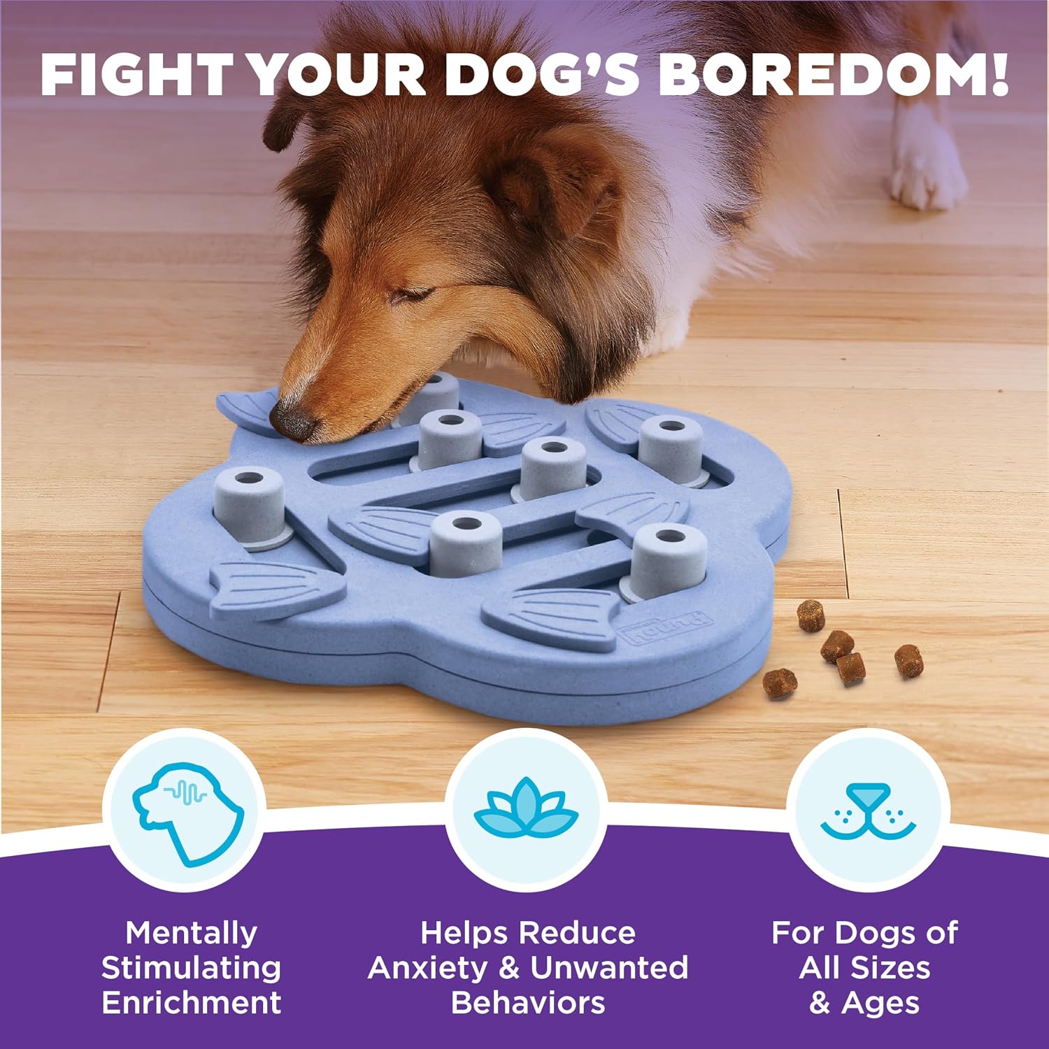 PetPals Blue Interactive Dog Puzzle - Hình 2